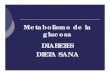 Metabolismodelaglucosa diabetes-dietasana-091217205052-phpapp01(7)