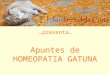 Apuntes Homeopatía Gatuna