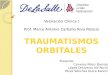 21 traumatismos orbitales