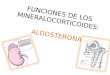 Funciones de los mineralocorticoides ALDOSTERONA