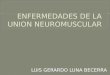 Enfermedades de la Union Neuromuscular