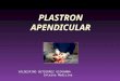 Plastron apendicular
