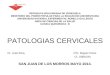 Patologias cervicales