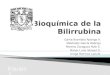 Bioquímica de la Bilirrubina