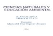Plan de área Ciencias Naturales y educación Ambiental. Primaria