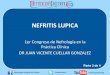 Nefritis Lupica - Conferencia del Dr. Juan Vicente Cuéllar Gonzalez (parte 3 de 4)