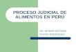 Proceso judicial de alimentos en perú  heiner rivera
