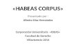 Diapositivas habeas corpus