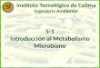 Principios de metabolismo microbiano