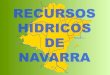 Recursos hídricos de Navarra