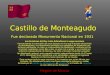 Castillos De  Monteagudo