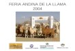 Feria Andina De La Llama 2004