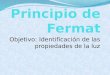 Principio de Fermat y espejos