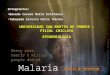 NIVELES DE PREVENCION DE LA MALARIA_Yukiko Malaria!!!