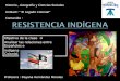 Resistencia indígena. guerra de arauco