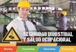 Certificación Internacional en Seguridad Industrial y Salud Ocupacional