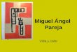 Miguel Ángel Pareja. Vida y Color