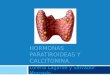 Hormonas paratiroideas y calcitonina
