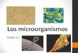 Tema 17. Biología de los Microorganismos