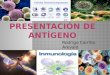 presentacion de antigeno