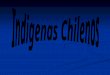 Indigenas Americanos y Chilenos