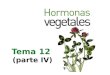 Tema 12 hormonas vegetales