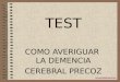 20071113102505 Test Cerebral