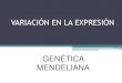 Variacion en la expresion (Genetica Medica)