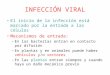 Infeccion viral