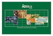 Ad blick agro   presentacion general-201108