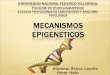 13.mecanismo epigenéticos