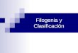 Filogenia y clasificación