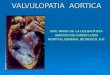 Valvulopatia  aortica