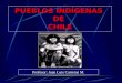 Loa aborígenes chilenos