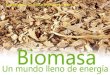 Biomasa :Un Mundo Lleno De Energía