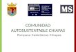 Comunidadad Autosustentable Chiapas