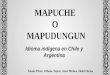 El mapuche