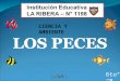 Peces 6to b