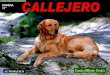 CALLEJERO (tiene música)