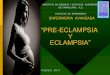 Pre eclamsia-eclamsia 3