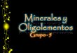 Minerales y oligoelementos