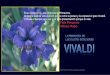 Vivaldi y la primavera