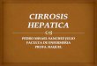 Cirrosis heparica