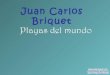 Juan Carlos Briquet - las mejores playas del mundo