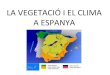 VEGETACION Y CLIMA EN ESPAÑA