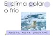 Grupo 4: clima polar o frío