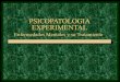 Psicopatologia experimental