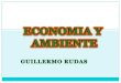 Economia Y ambiente Guillermo Rudas