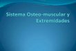 Desarrollo embriológico de sistema osteomuscular y extremidades