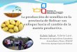 La producción de semillas en la provincia de Bolívar: un enfoque hacia el cambio de la matriz productiva